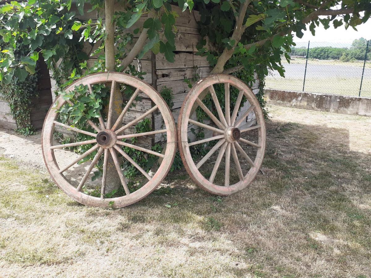 La Fiora Bed & Breakfast ซานเซโปลโกร ภายนอก รูปภาพ